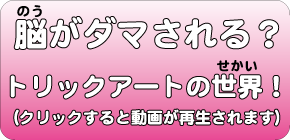 脳がダマされる？トリックアートの世界！