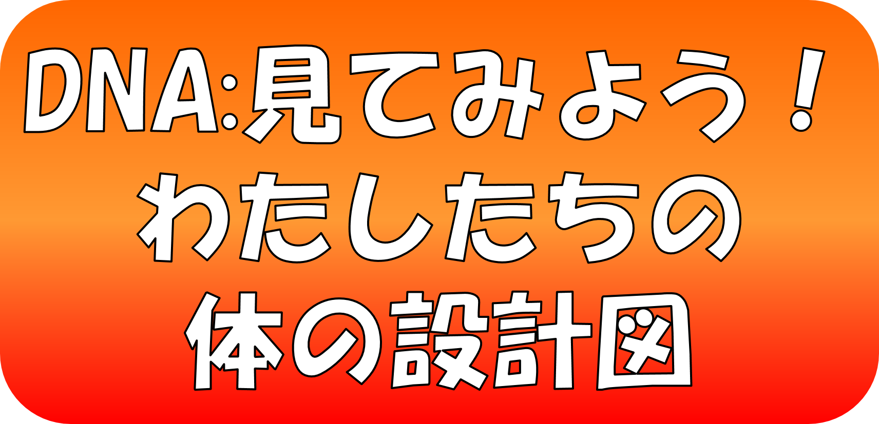 DNA:見てみよう！わたしたちの体の設計図