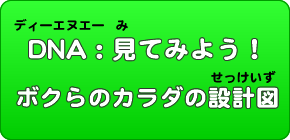 DNA: 見てみよう！ 僕らのカラダの設計図