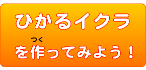 ひかるイクラを作ってみよう！